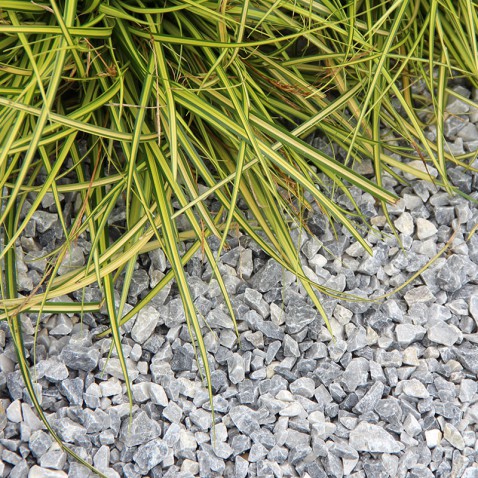 Foto : Grijsblauw grind in uw tuin
